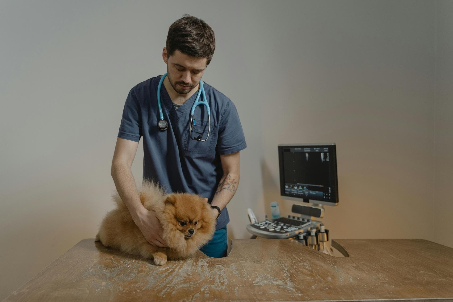 Best Vets in Cincinnati