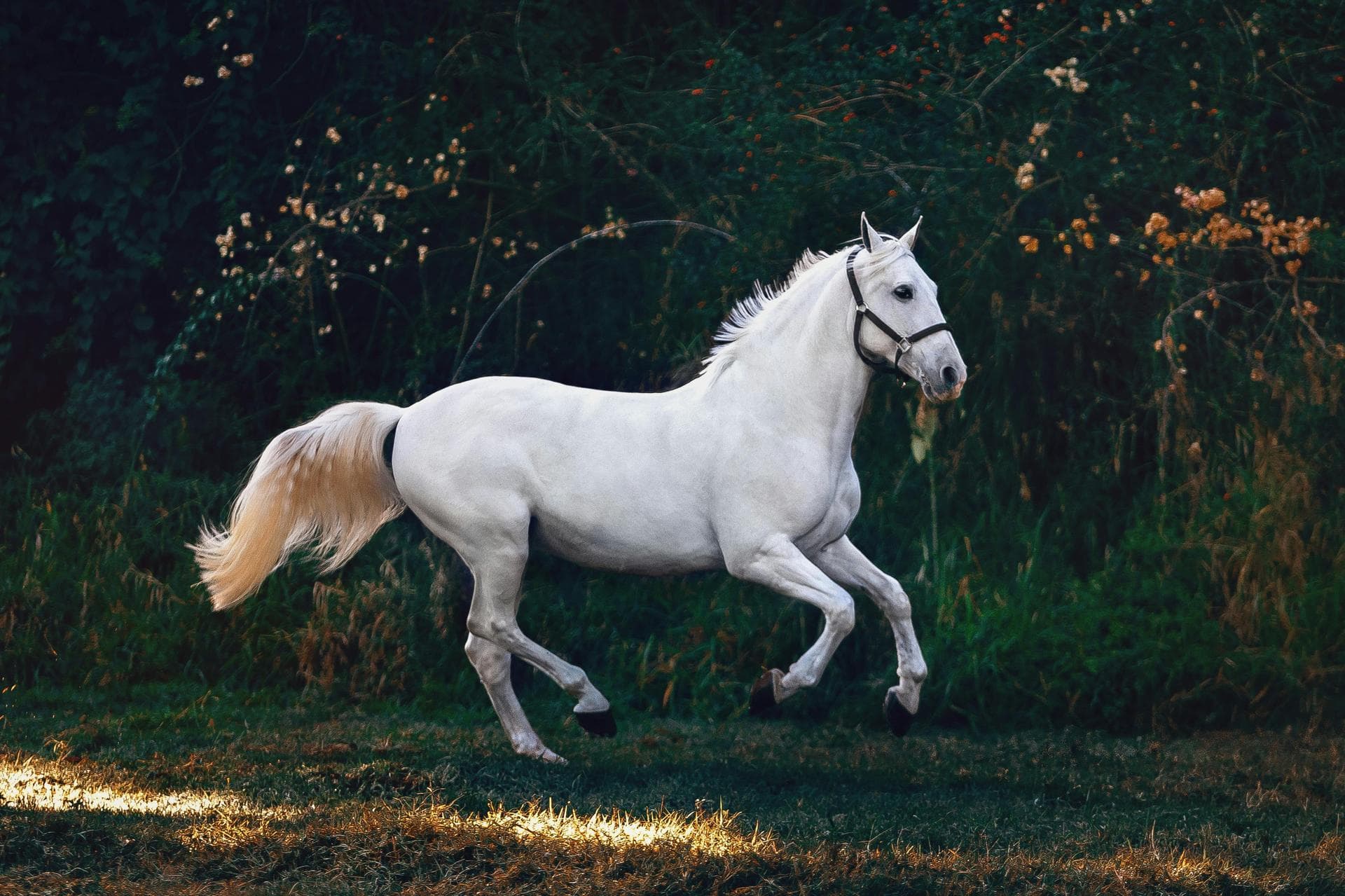 Farm & Large-Animal Vets near Cincinnati